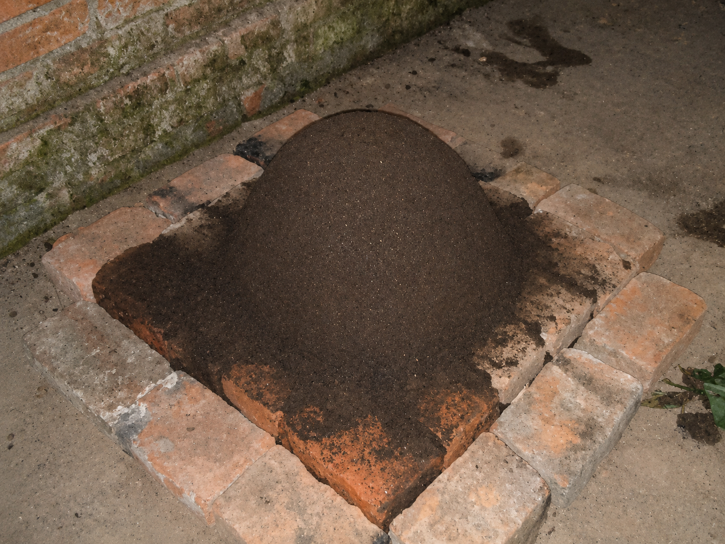 A damp sand dome built on the brick base to form the oven interior