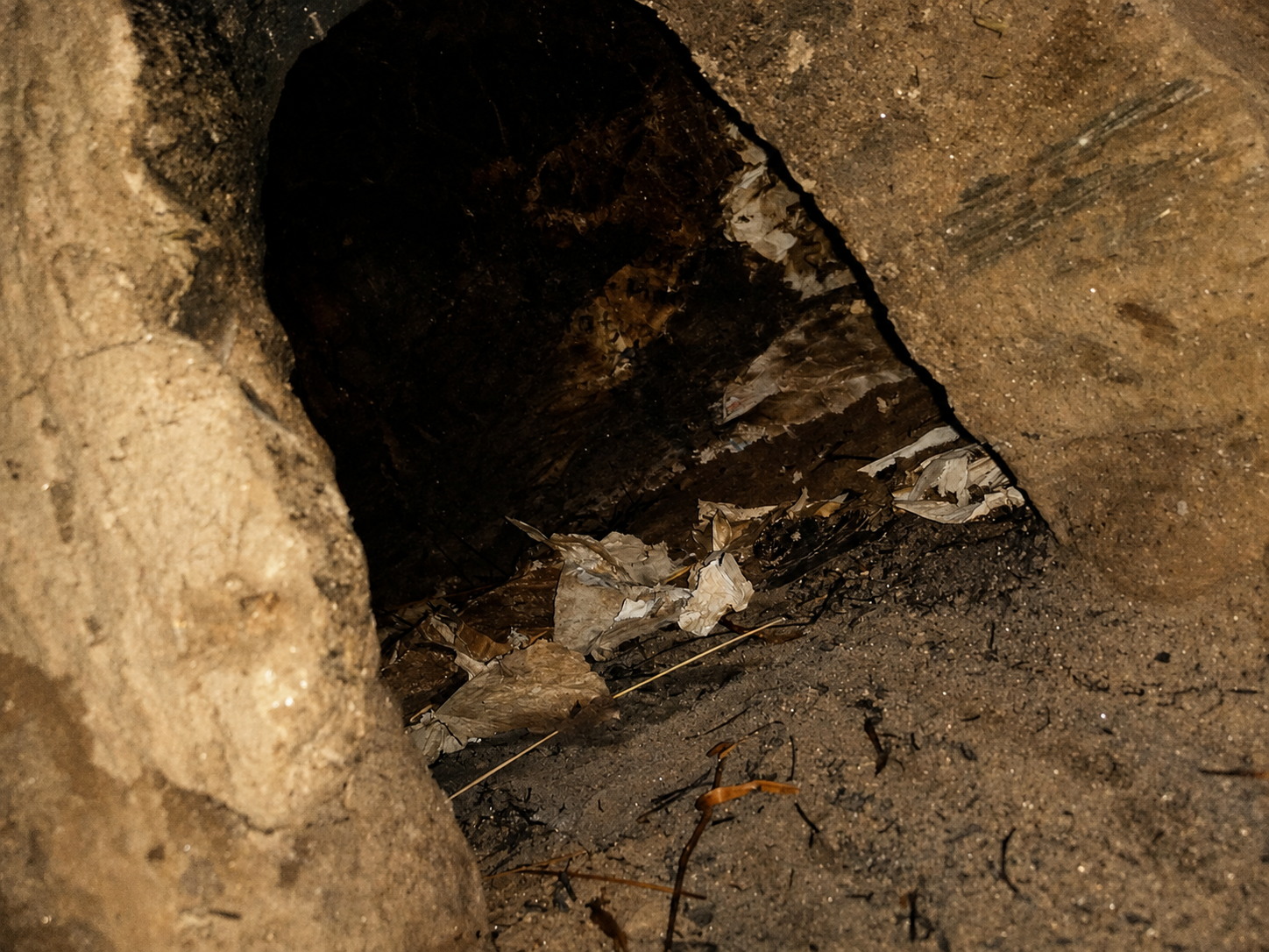 The darkened interior of the earthen oven after its first firing