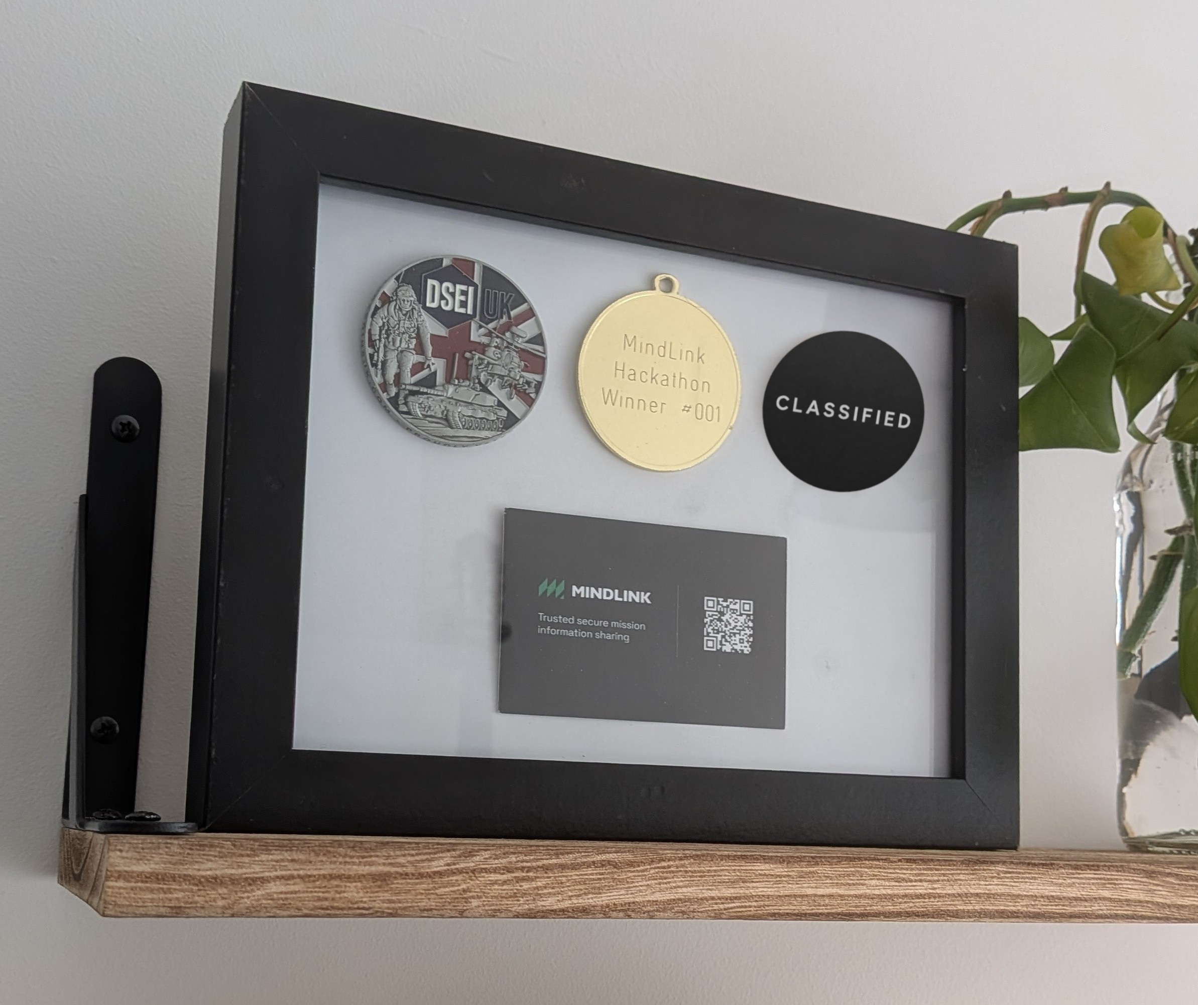 A framed display of MindLink keepsakes
