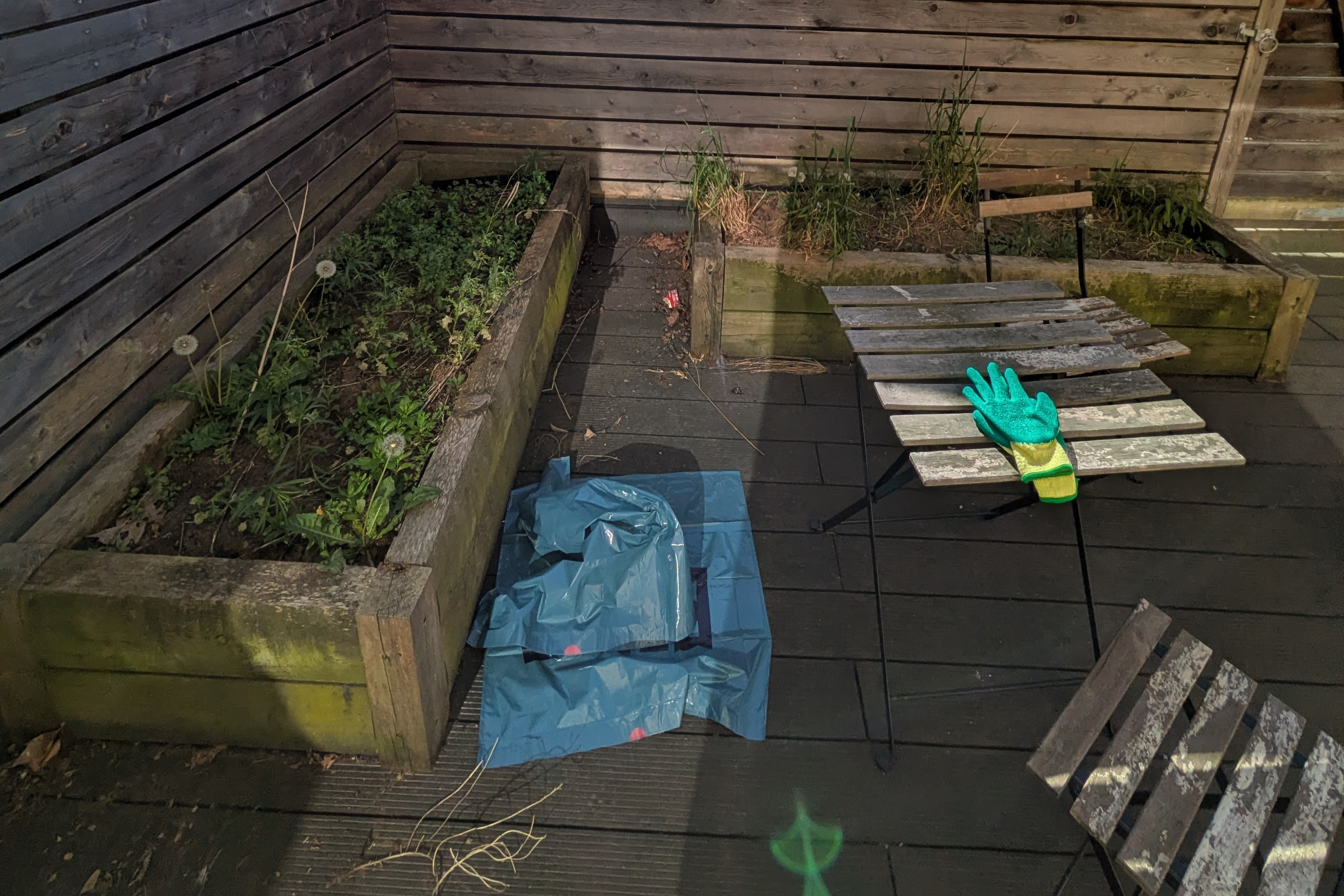 The garden planters before clearing, filled with weeds and overgrown plants
