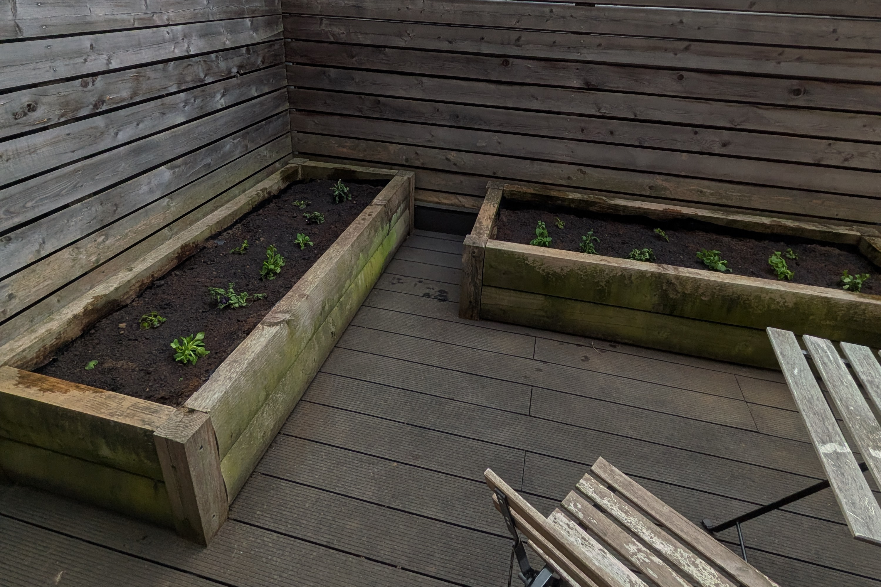 New bedding plants spaced out across the refreshed garden planters