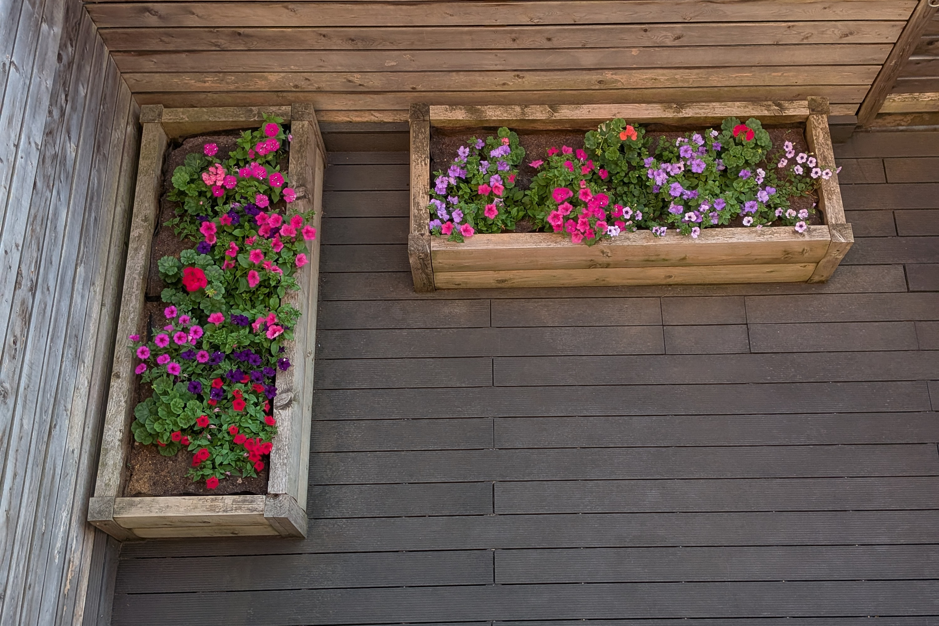 The completed garden planters filled with colourful flowers